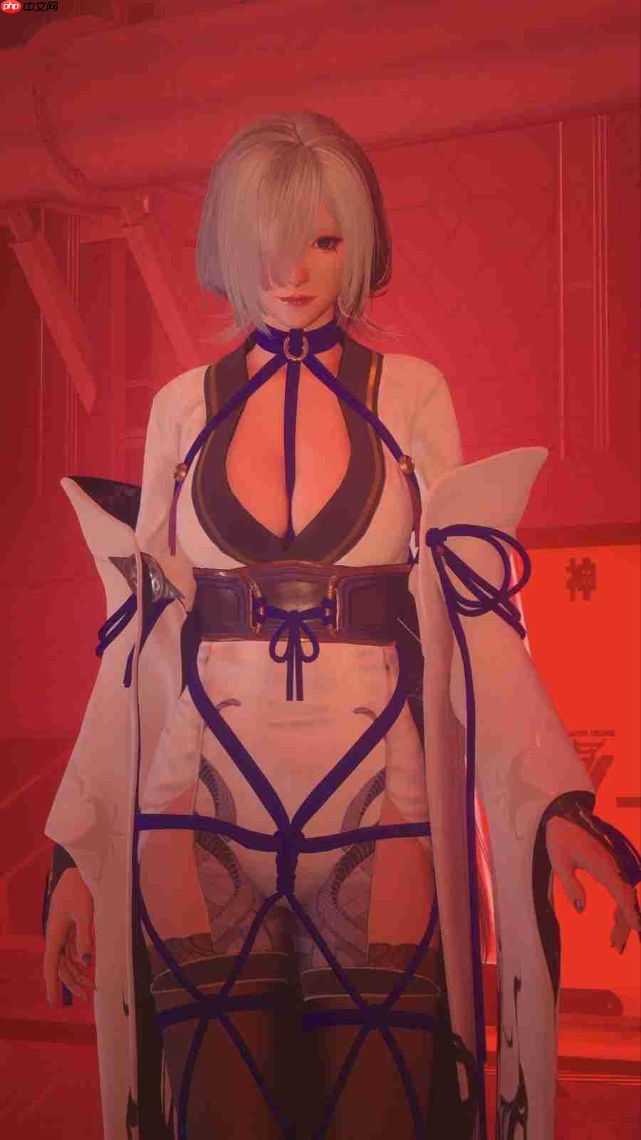 《忍者龙剑传4》Seori隼龙绫音艺术图 非常棒啊!