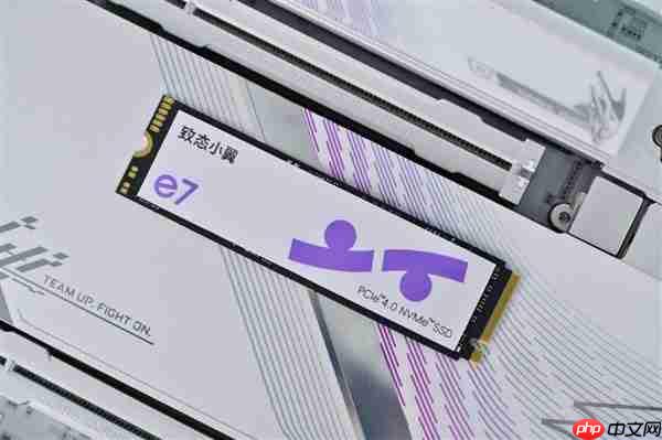 疾速6000MB/s！长江存储致态小翼e7 1TB SSD图赏
