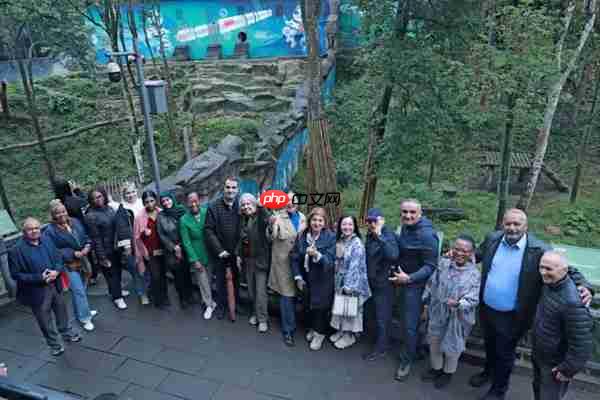 “国际朋友圈”扩容！11国驻华大使为雨城点赞 ——“‘一带一路’乡村振兴·文化交融”驻华大使走进雨城区公益交流活动侧记