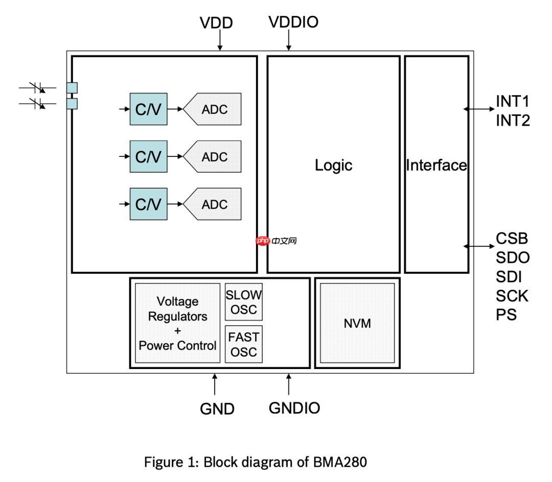 创新医疗新参数-SCG（心震图）：详细解读版