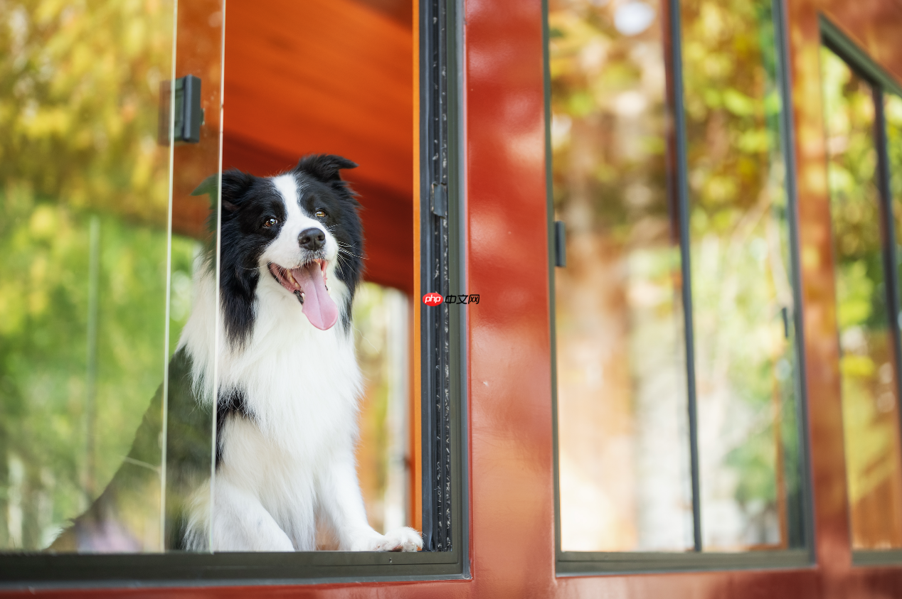 唯卓仕AF50mm F1.4 Pro上市:重塑标准镜头的“全能旗舰”