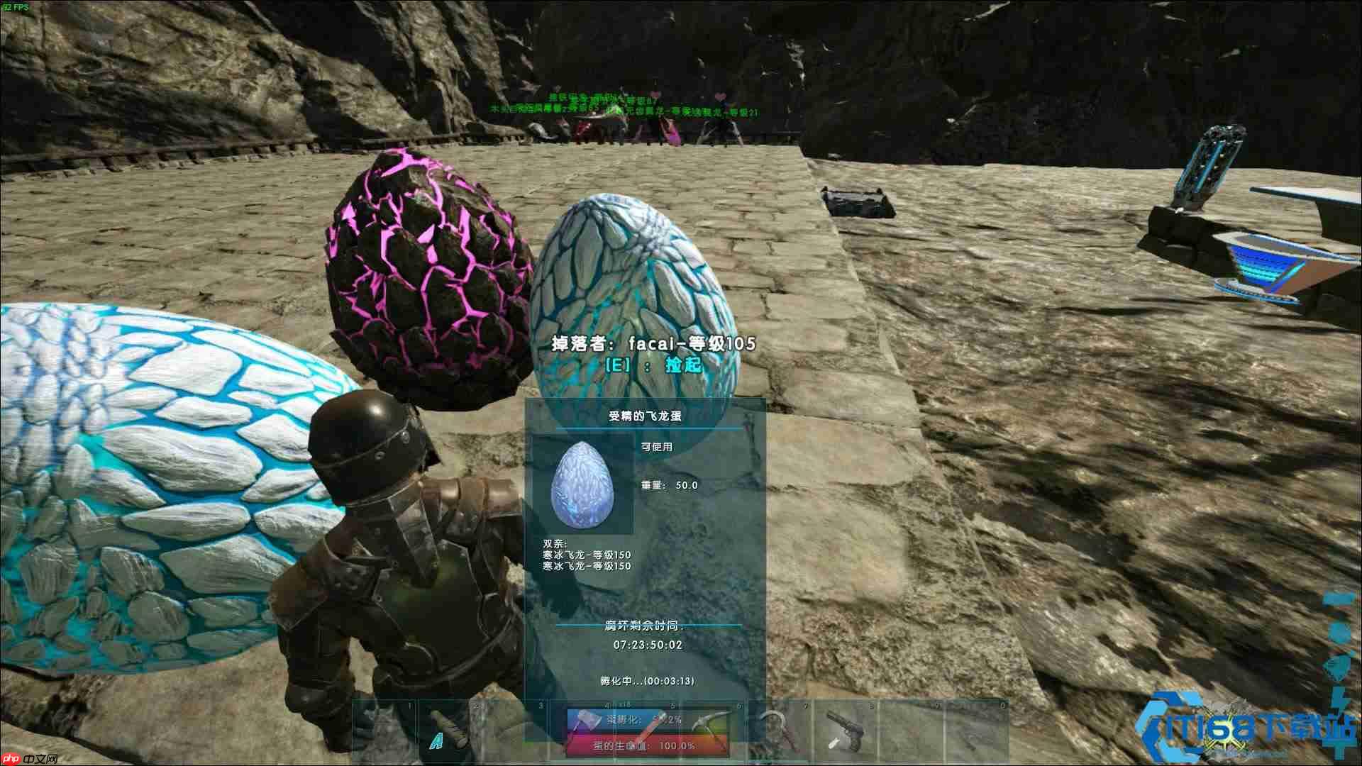 冰飞龙征服指南:从偷蛋到吐息的极寒霸主之路