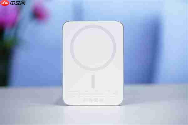 299元的小米金沙江磁吸充电宝卖断货：闲鱼加价到400多