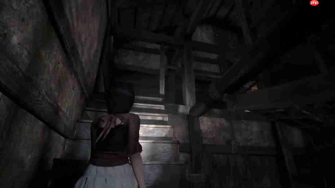 《零红蝶：重制版》新实机演示 姐妹牵手探索