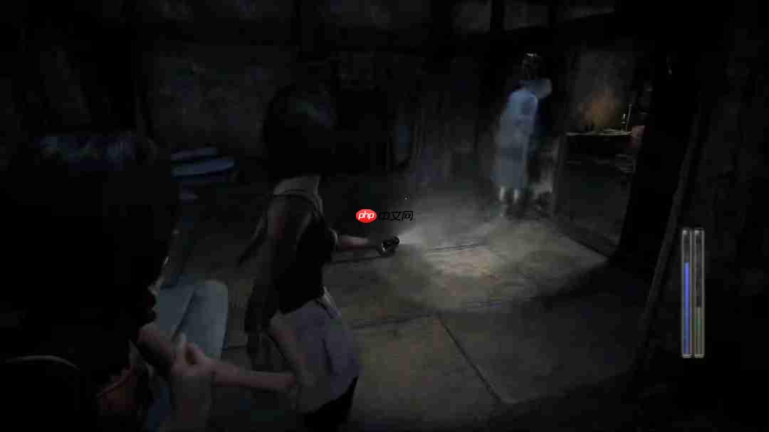 《零红蝶：重制版》新实机演示 姐妹牵手探索