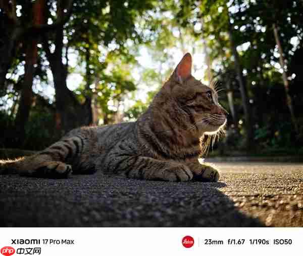 小米17系列全系搭载光学镀膜大满贯：抗鬼影、发雾、炫光