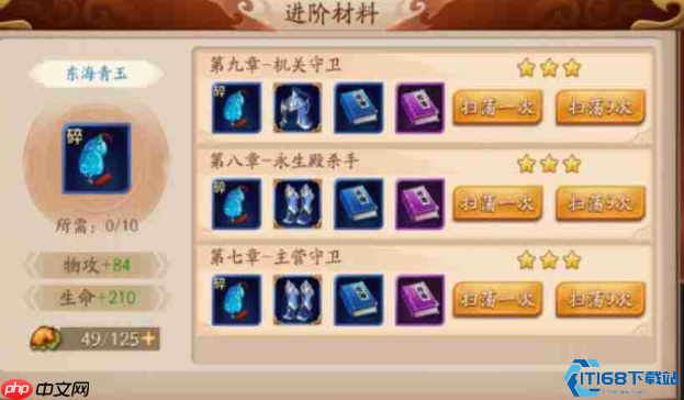 金将升星终极指南：战力飙升的核心秘诀