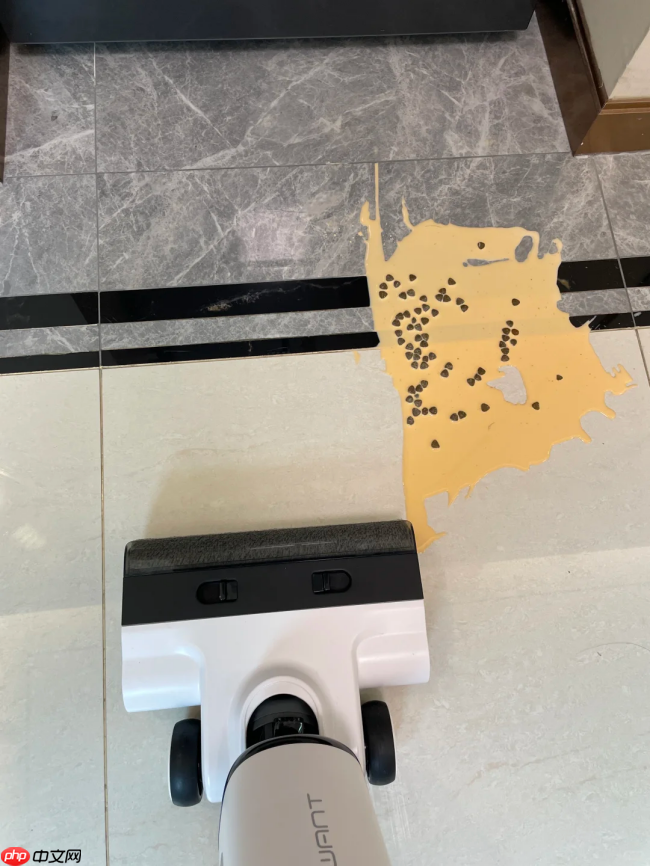 洗地机与吸尘器终极科普：功能、差异与选购全指南