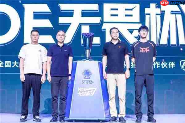 AGON闪耀BOE IPC电竞嘉年华  共燃无畏杯S3终极对决