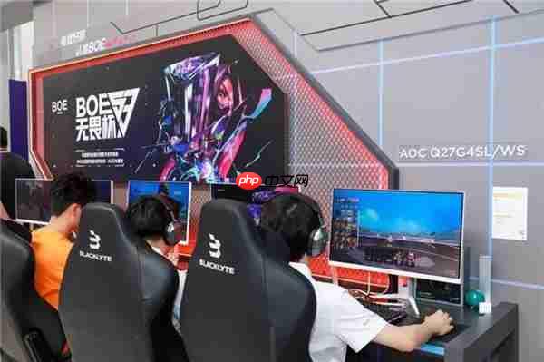 AGON闪耀BOE IPC电竞嘉年华  共燃无畏杯S3终极对决