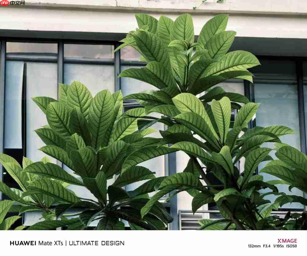 华为Mate XTs体验：降价2000元反而更强了，三折叠实用的开端？