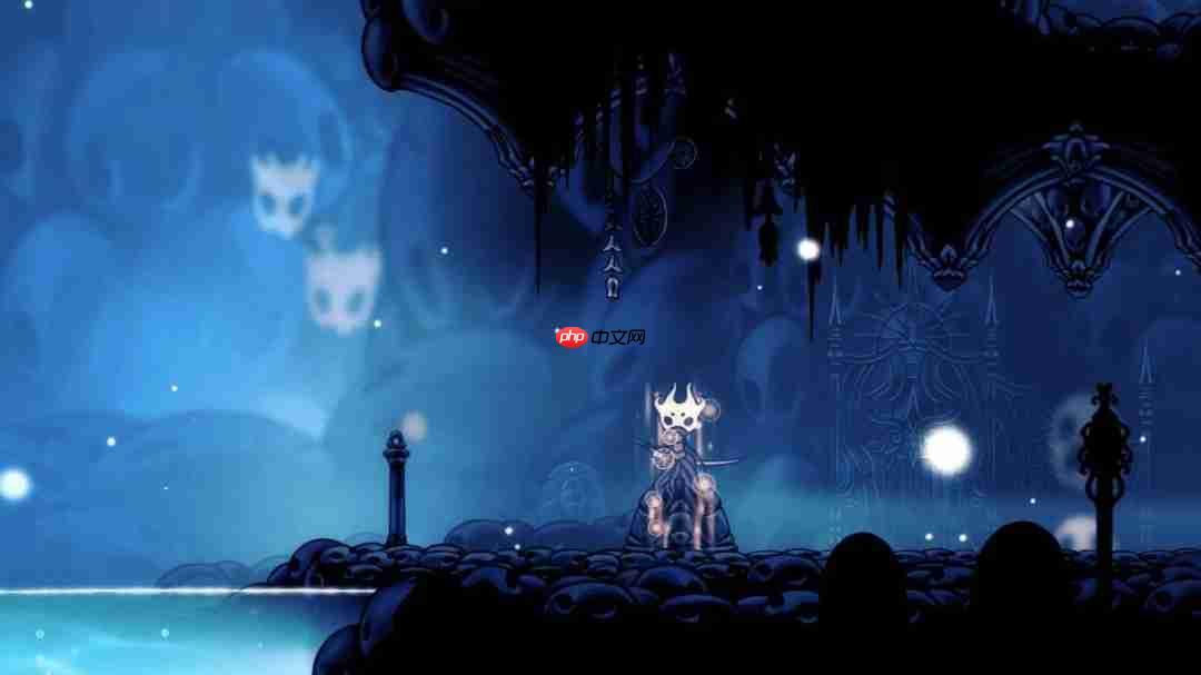 这么早就幸幻想?玩家热议《空洞骑士》下一作主角