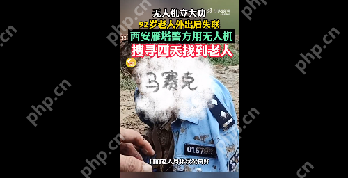92岁阿尔茨海默症老人散步后失联4天  无人机立大功找回 - php中文网