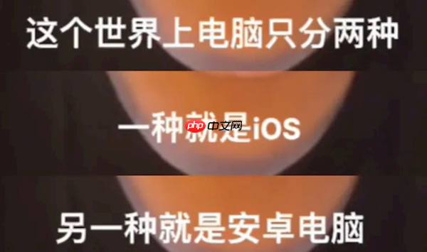 网红发明的“苹果人”“安卓人”概念火了:“安卓”竟然成脏话了