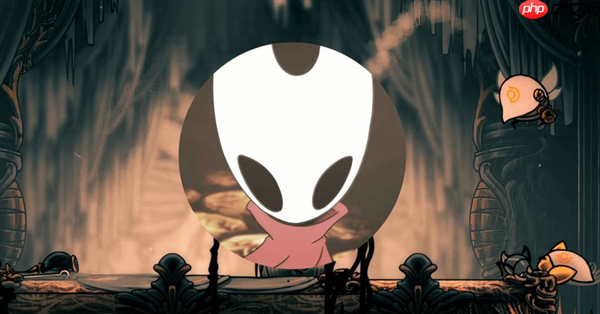 华硕RTX5060显卡轻松玩转《空洞骑士：丝之歌》