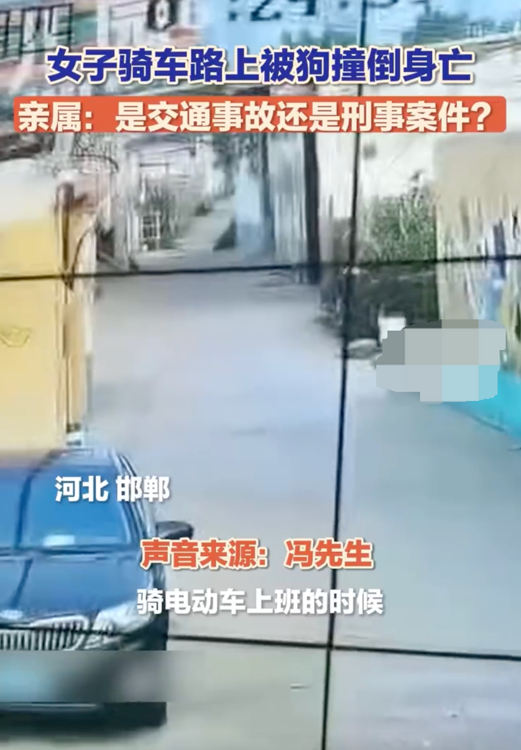 未拴绳大狗撞倒女子致其当场死亡：目前一直没有结果