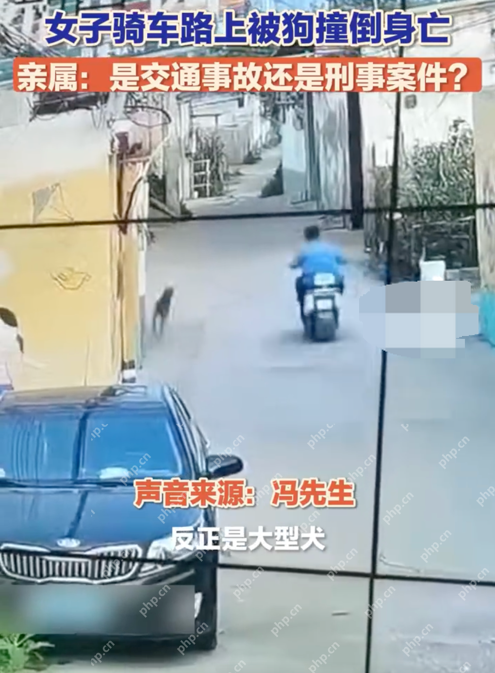 河北一女子骑车路上被狗撞倒身亡是怎么回事？详情介绍 - php中文网