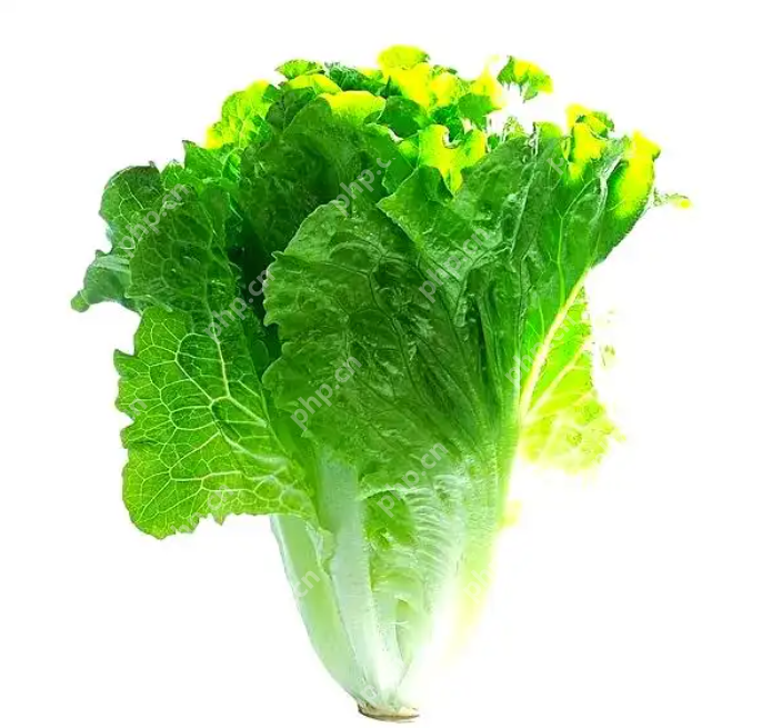 告别浪费：超实用的家庭常见蔬菜保鲜技巧大全 - php中文网