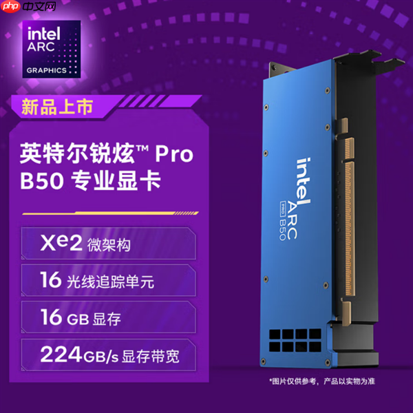Intel锐炫Pro B50显卡国内上市：2999元！16GB大显存
