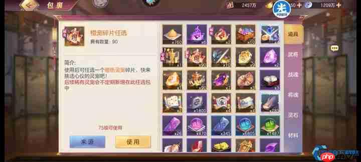 橙色灵宠大师攻略：阵容搭配与技能解析