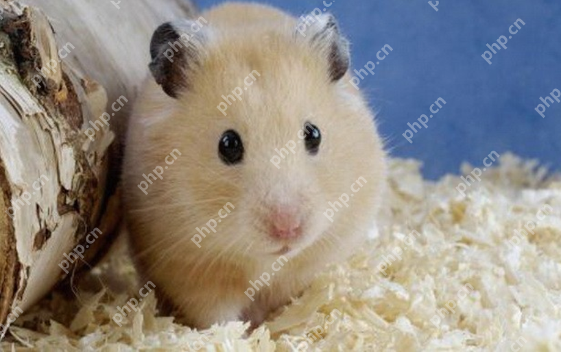 回乡创业1年卖4000万只老鼠,一只卖到200到300元?