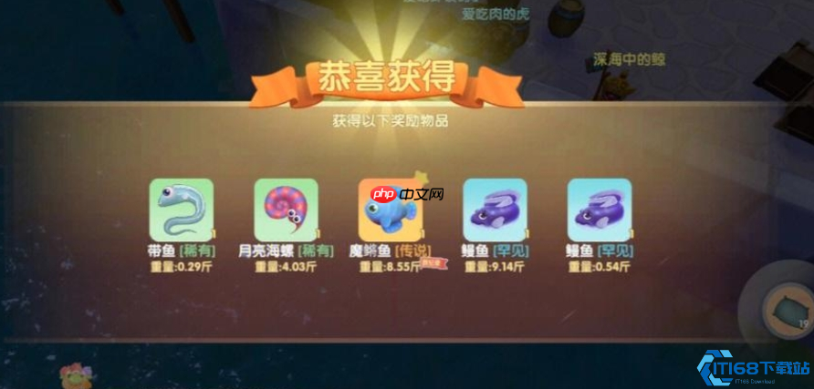 奇幻悬浮魔鳉鱼终极攻略！雨天钓取技巧大揭秘