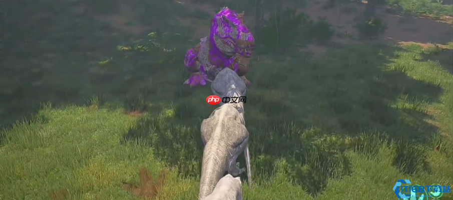 神龙进化指南：解锁远古龙魂的终极力量