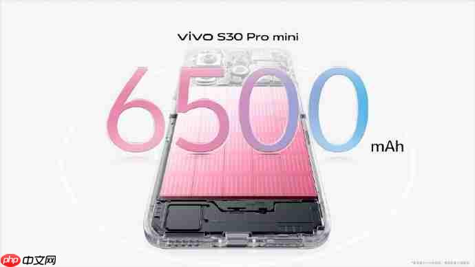 多彩小直屏vivo S30系列正式开售，国补到手2294元起！