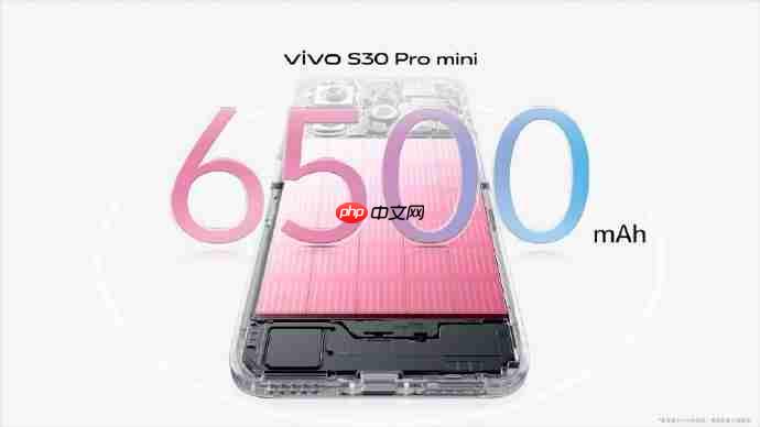vivo S30系列已开启预售，多彩小直屏+氛围感影像！