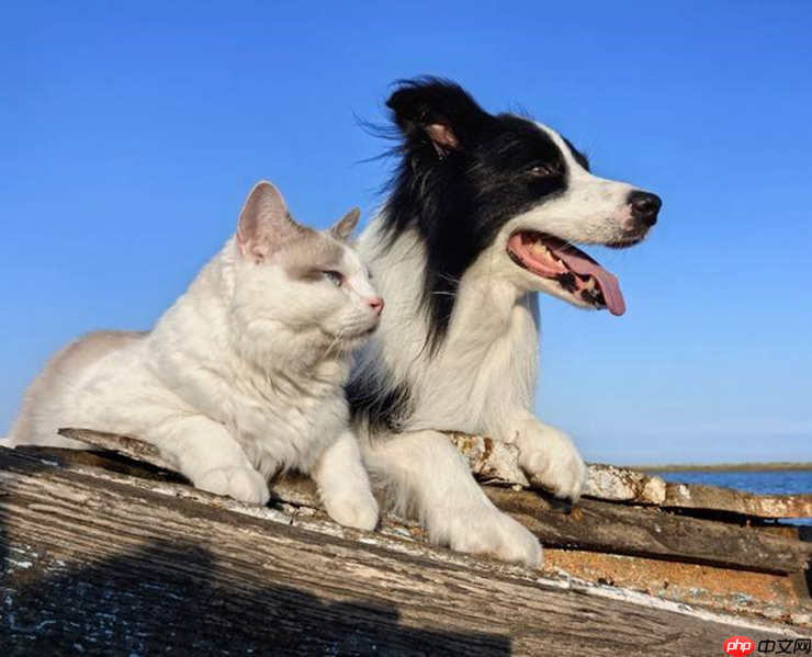 暑假出门带它太香了！华为Mate X5优惠4000元，现在入手正合适