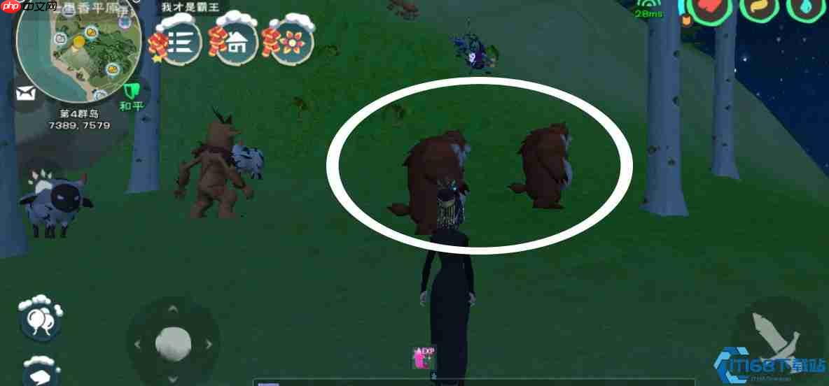 熊类驯服终极指南：从木棍到捕兽夹的全流程解析