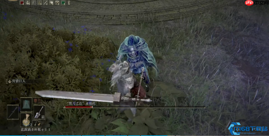 艾尔登法环新人开荒全攻略：四流派解析与保姆级技巧