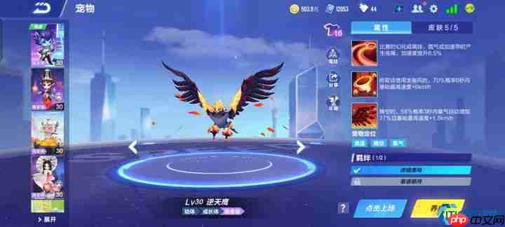 腾空宠物竞速指南：三大神宠助你征服天际赛道