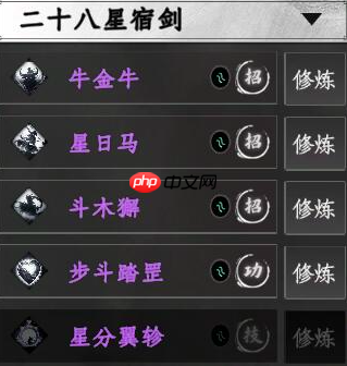 二十八星宿剑深度解析：紫色神兵中的实战王者