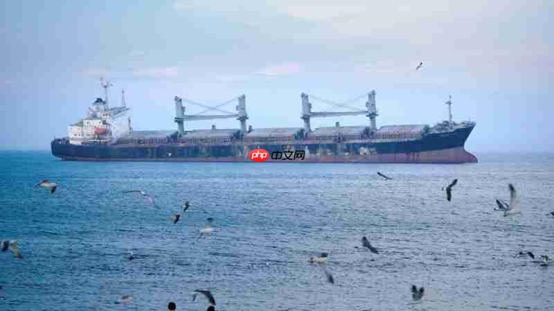 国产镜头破局长焦航拍!唯卓仕AF90mm F3.5 DL 空中利刃出鞘