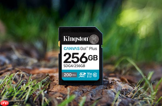 Vlog全能卡金士顿CanvasGo！Plus系列