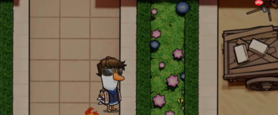 鹅鸭杀冒险家角色全解：地形杀免疫者的情报大师之路