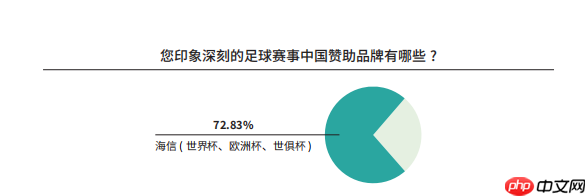 《中国足球环境及未来发展白皮书(2025)》发布:100吋大屏电视成标配