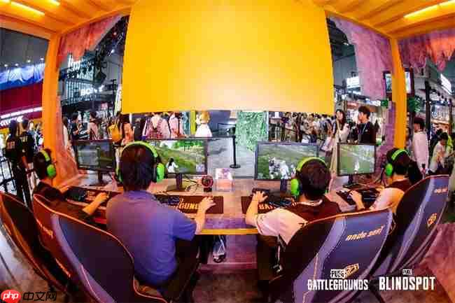 网鱼×PUBG联名“白运动”引爆BW 2025现场