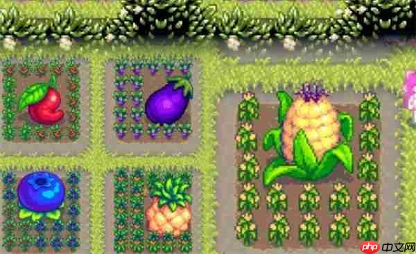 星露谷物语巨大作物种植终极秘籍