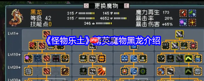 怪物乐土地下世界霸主：暴击目盲双修，龙队核心输出黑龙终极解析