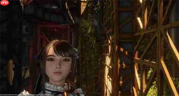 剑星猫咪摄影展全收集！10只隐藏猫咪位置大揭秘