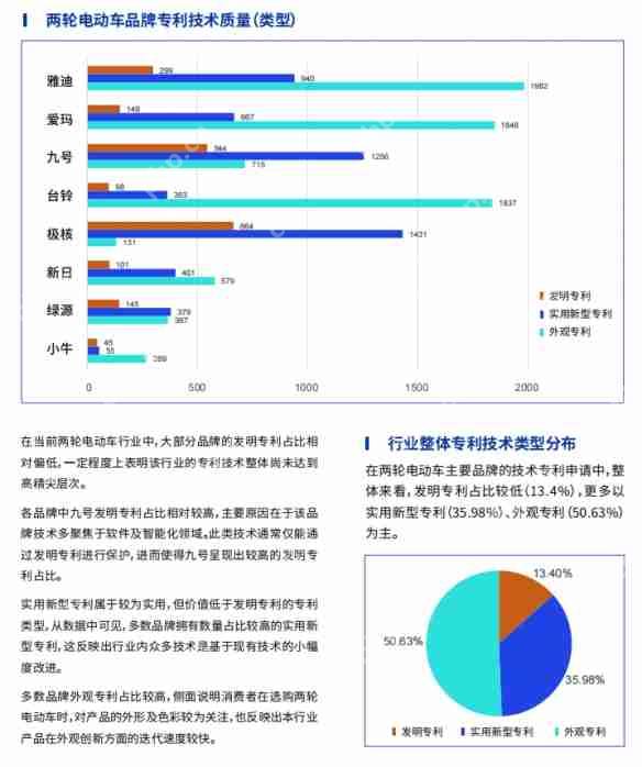 鲁大师2024年两轮电动车行业调研报告
