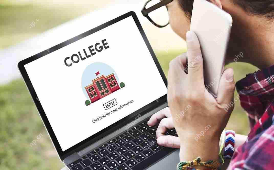 全球化视野下的移动购物应用开发策略