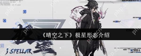 晴空之下极星形态全解析2024：双模式战斗艺术深度教学