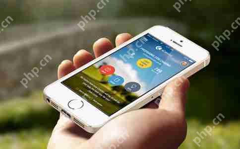 股票软件开发选择哪种编程语言是关键？