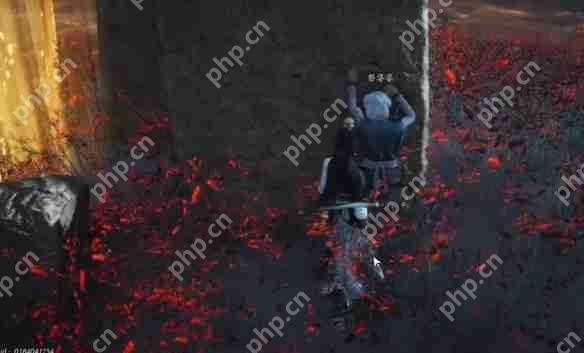 燕云十六声红缨任务全流程详解：轻松获取染血红缨攻略