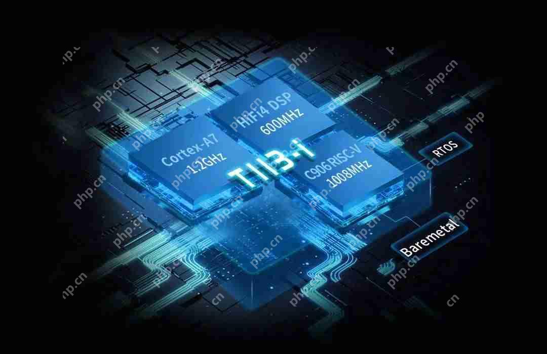 国产RISC-V案例分享，基于全志T113-i异构多核平台！