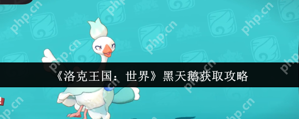 洛克王国黑天鹅速刷指南 熔岩岛进化三大隐藏条件全解析