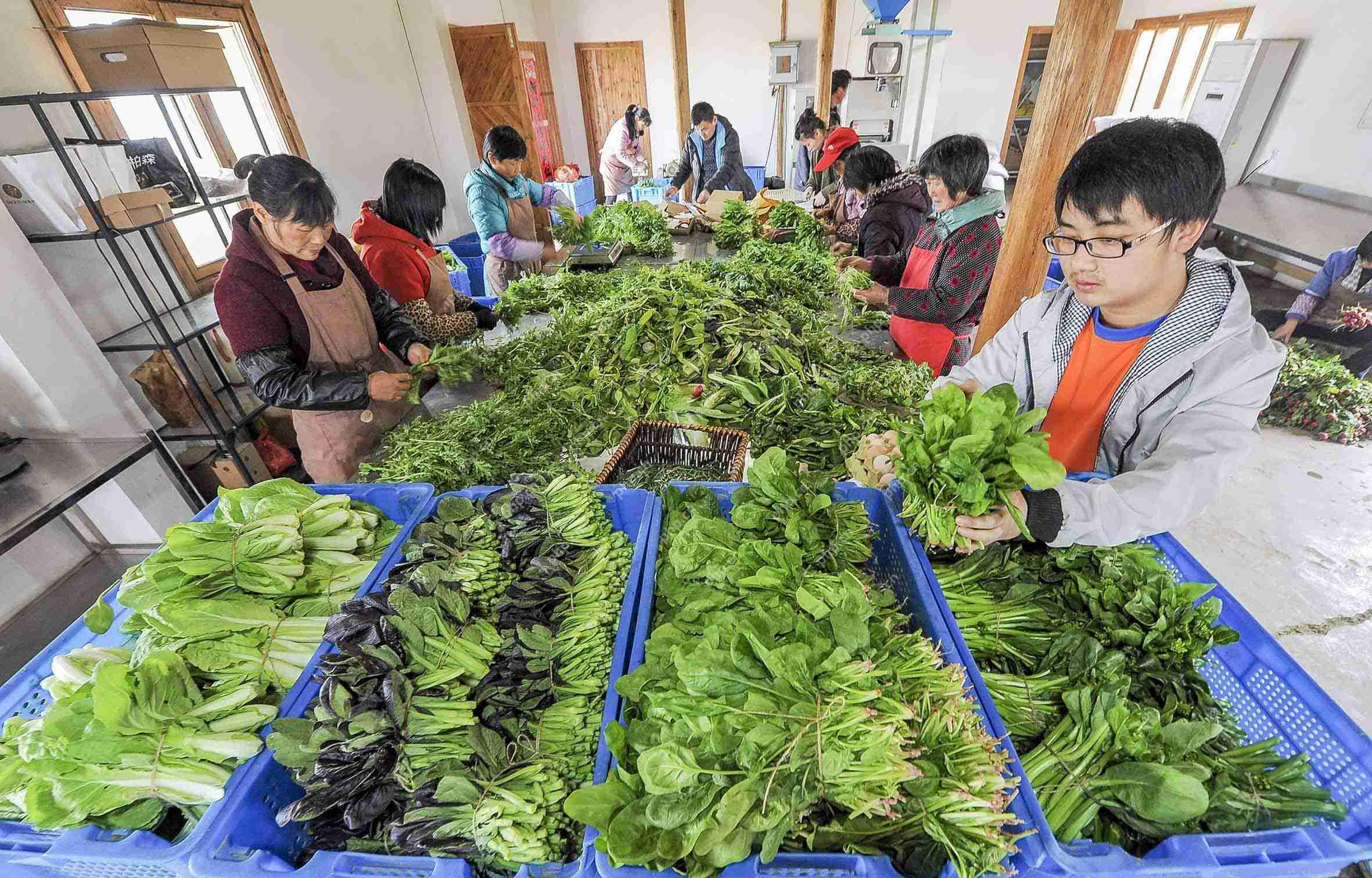 蔬菜配送APP开发怎么做？同城配送APP怎么经营_解决方案